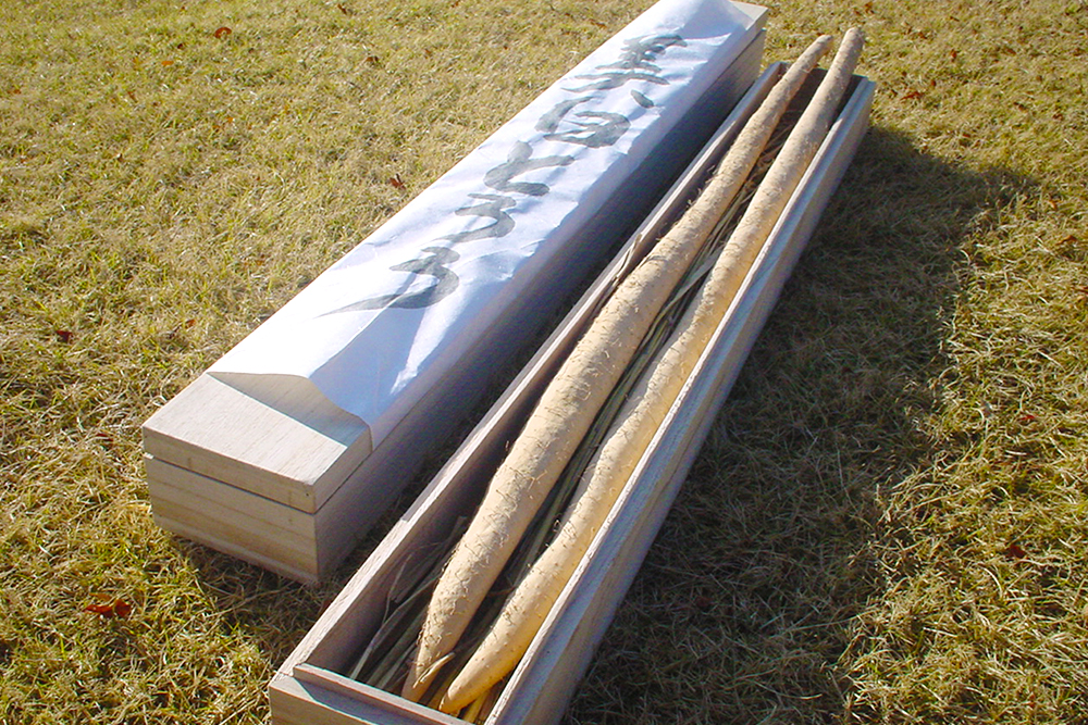 食べてデトックス