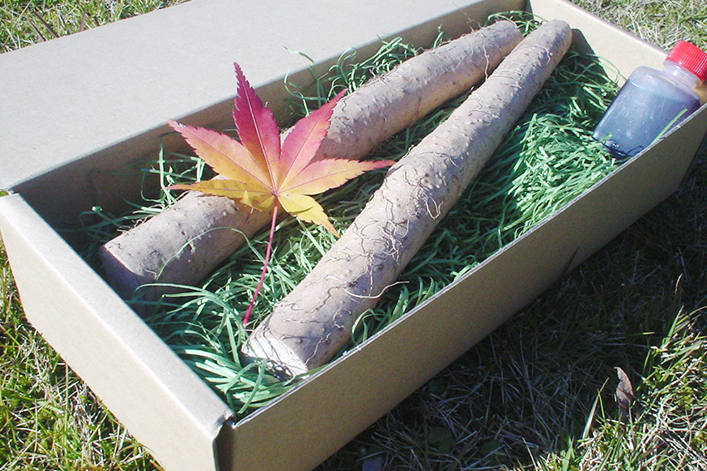 美味しくすり下ろすコツ