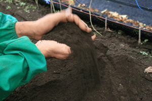 手についても、汚れません。